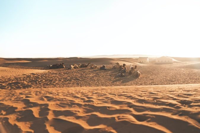 France Maroc images - zagora